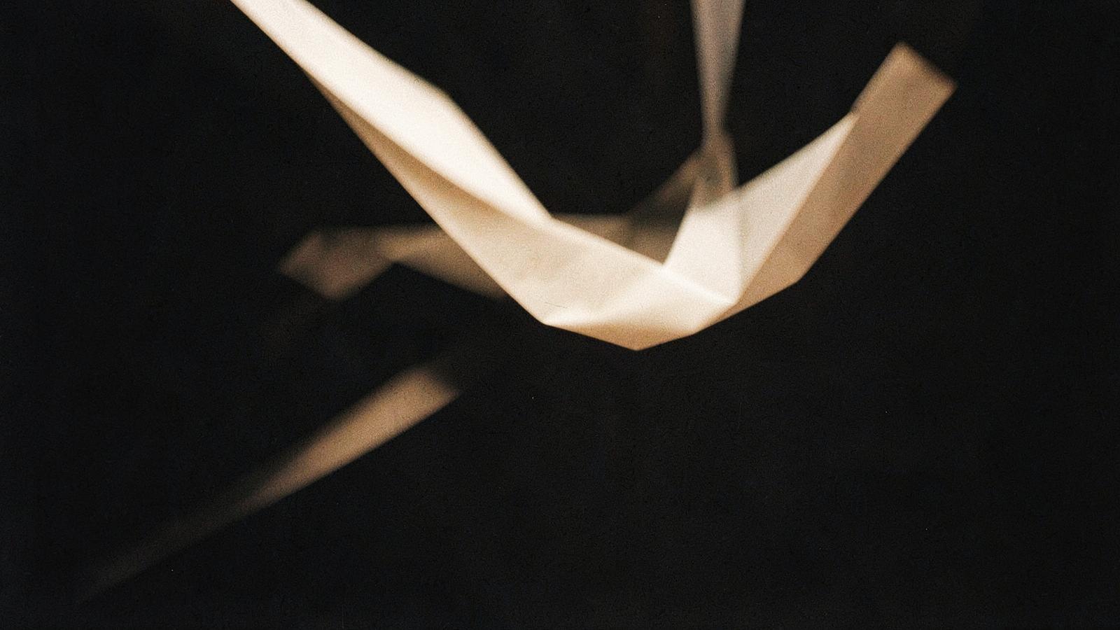 Suspended paper ribbons caught mid-motion
